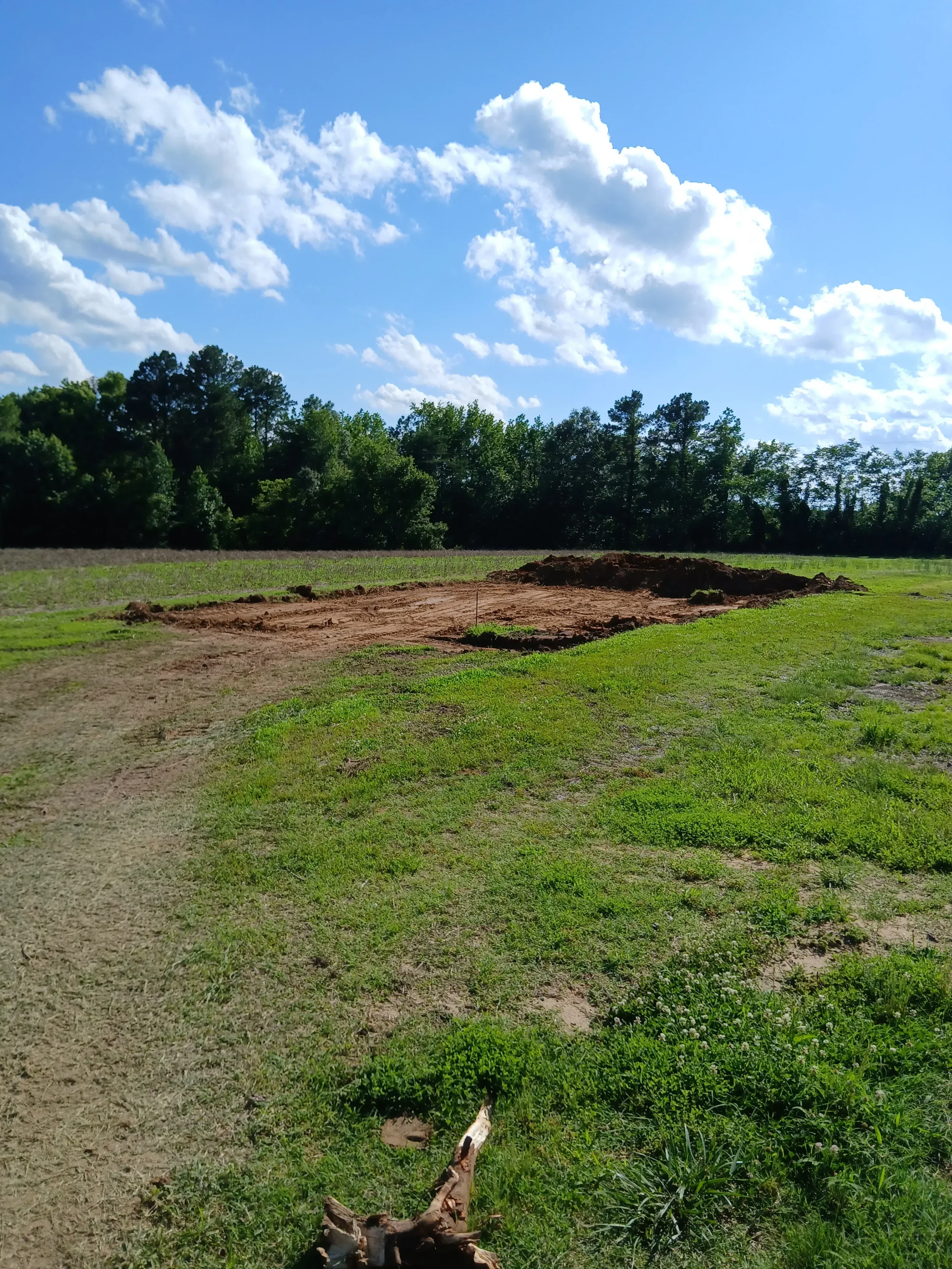 Cleared lot with removed vegetation, exposed soil, and tree line bordering property